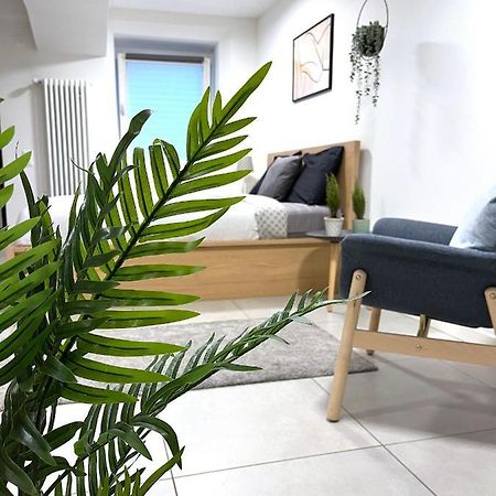 The Hidden Studio; Comfy & Close To The Lake Λουγκάνο Εξωτερικό φωτογραφία